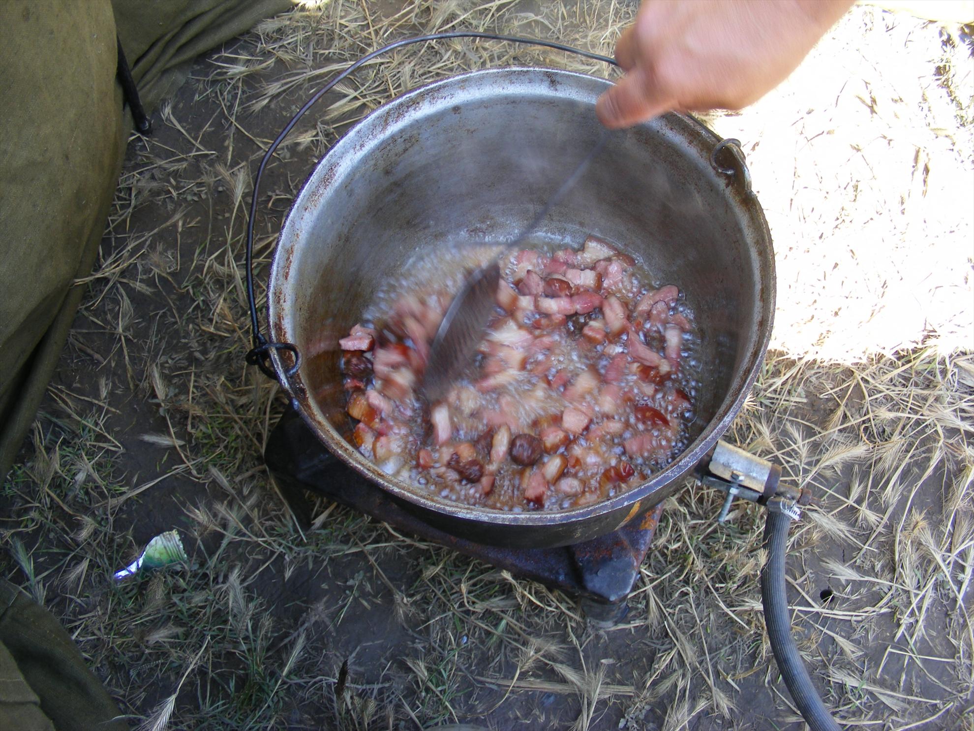 ciobanu harsova - dscf0158.JPG